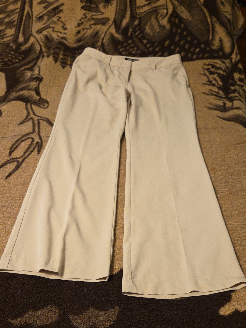 Daisy Fuentes Beige Dress Pants